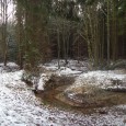 Do fotogalerie vloženy nové fotky z letošní „zimy“. Sníh nic moc, ale i přesto je na procházkách v tomto ročním období moc pěkně. Lokalita „Zelenovský rybník“ je pěkná i v […]