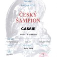 Cassie Babylon Bohemia splnila výstavní podmínky pro přiznání šampionátu.  Dne 2.12. 2018 byl Cassii Českomoravskou kynologickou unií přiznán titul „ČESKÝ  ŠAMPION“  